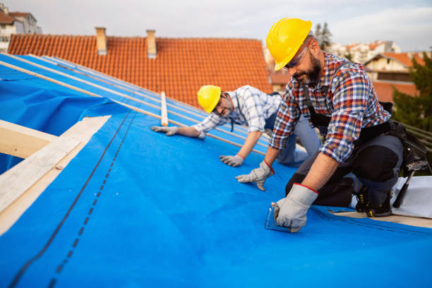 Best Storm Damage Roof Repair  in Harlingen, TX